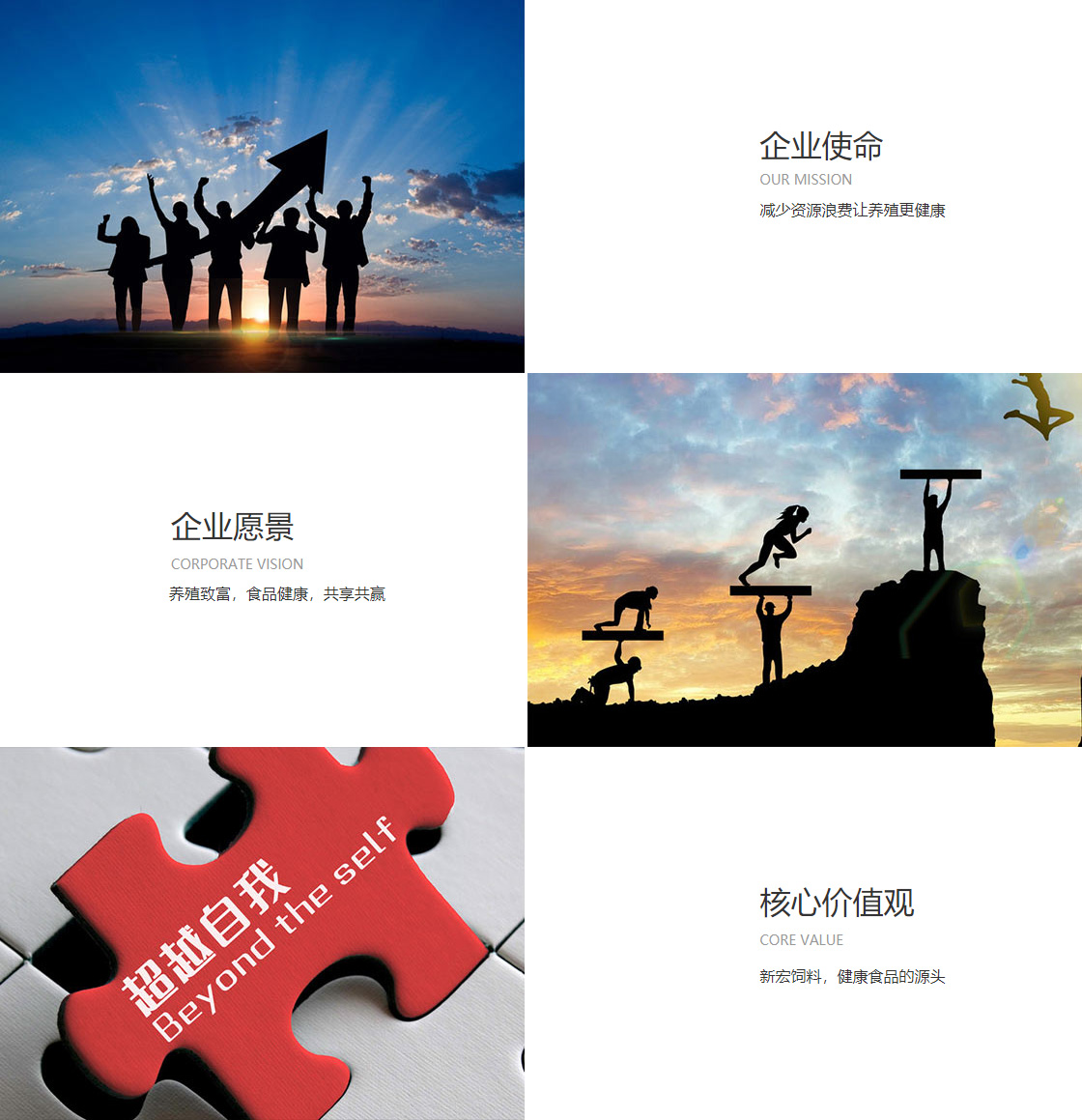 九游体育(图1)